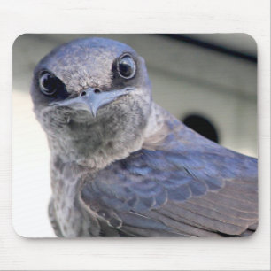 Mousepad Purple Martin