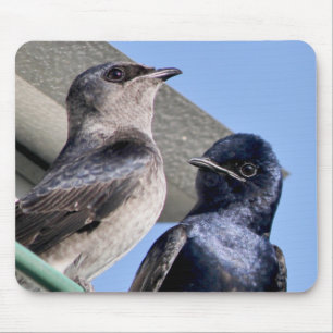 Mousepad Purple Martin Pair