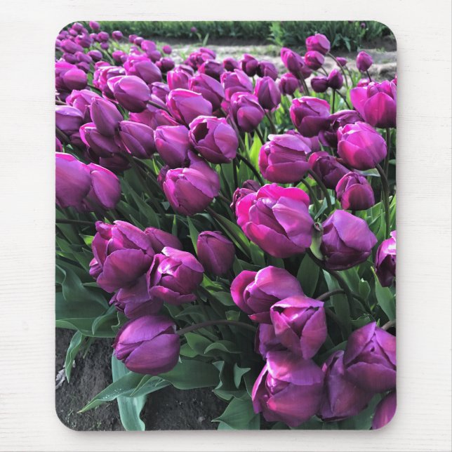 Mousepad Purple Prince Tulips (Frente)