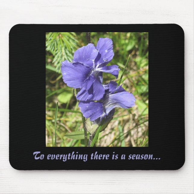 Mousepad PurpleFlower, a tudo há uma estação… (Frente)
