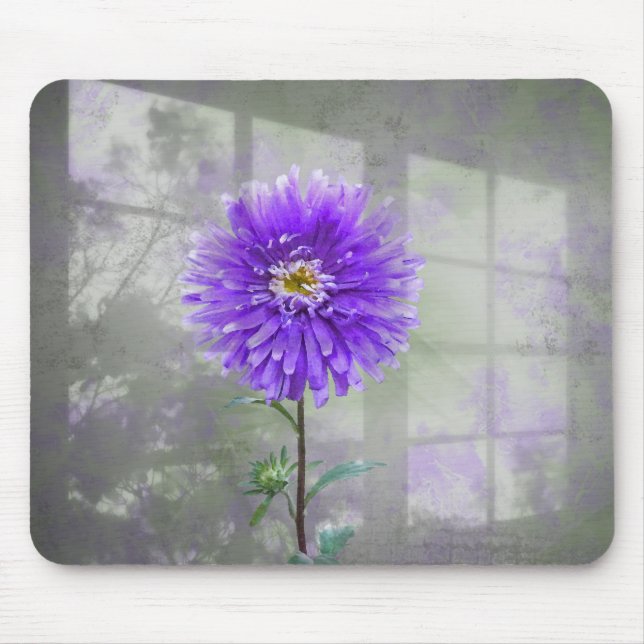 Mousepad Púrpura Dahlia Na Sombra Da Janela (Frente)