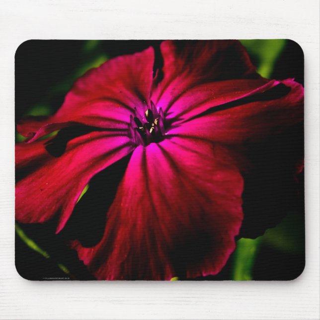 Mousepad Púrpura Flor Selvagem mpcna (Frente)