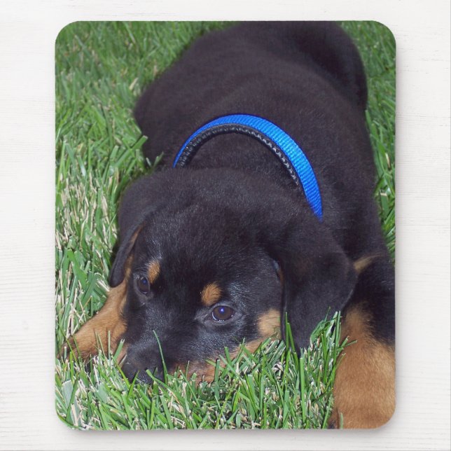 Mousepad pus rottweiler (Frente)