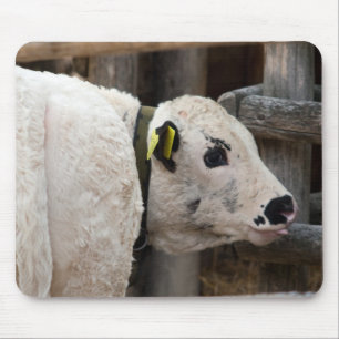 Mousepad Pustertal Pied Calf
