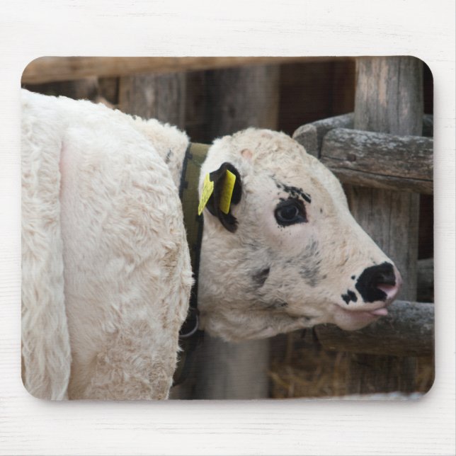 Mousepad Pustertal Pied Calf (Frente)