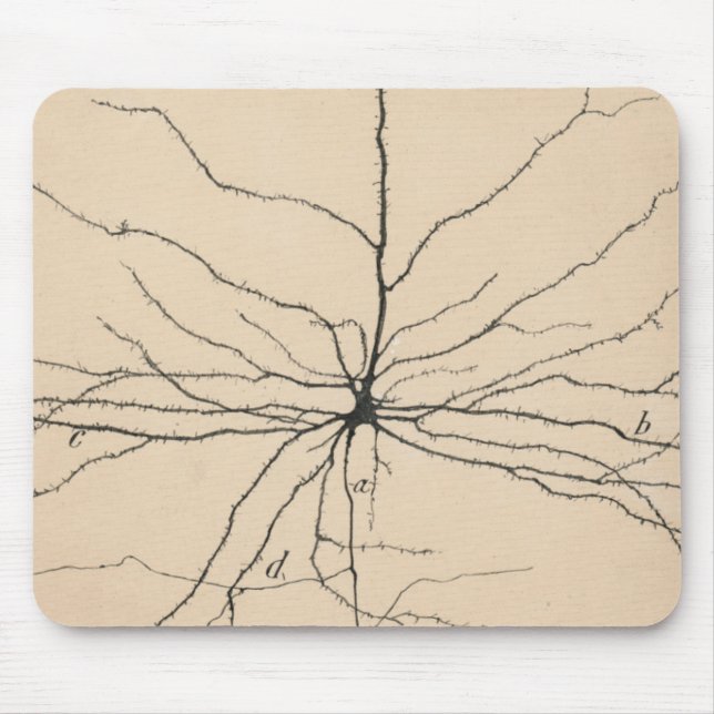 Mousepad Pyramida Neuron Desenho Por Santiago Ramón Y Cajal (Frente)