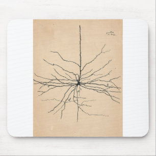 Mousepad Pyramida Neuron Desenho Santiago Ramon y Cajal