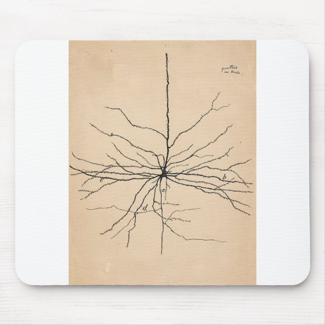 Mousepad Pyramida Neuron Desenho Santiago Ramon y Cajal (Frente)