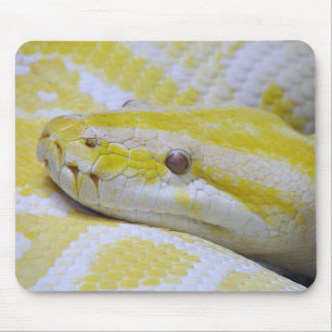 Mousepad Python birmanês