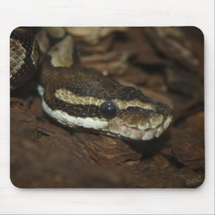 Mousepad Python Marrom