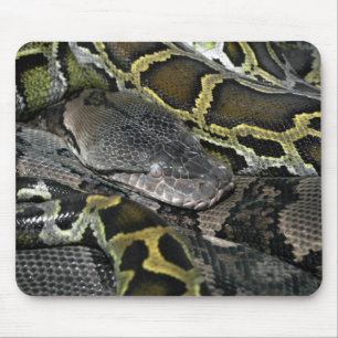 Mousepad Python molurus bivittatus