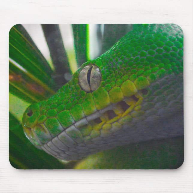 Mousepad Python verde-árvore (B) (Frente)