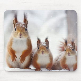 Mousepad Quadrrel Animal Family Wandering Nature