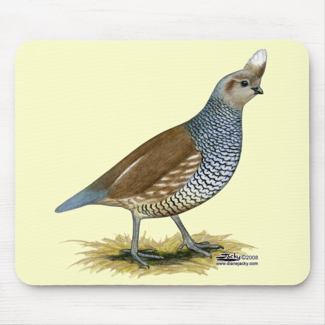 Mousepad Quail escalável (Frente)