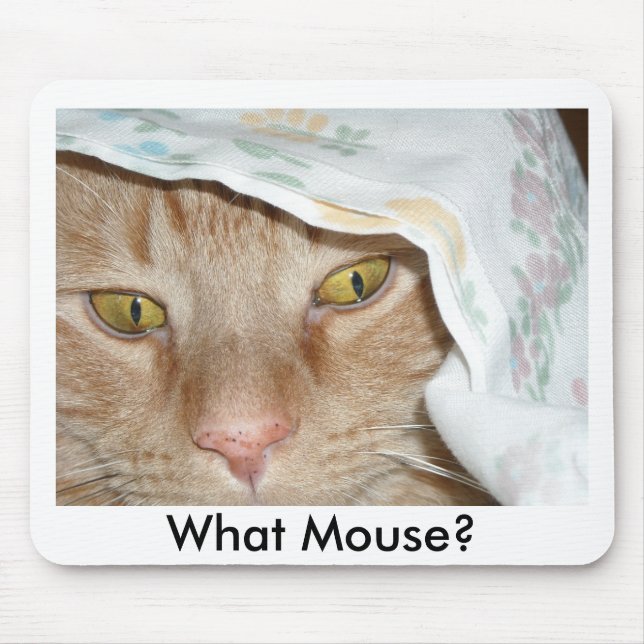 Mousepad Qual o Humor Gato do Rato/Comprimido Laranja (Frente)