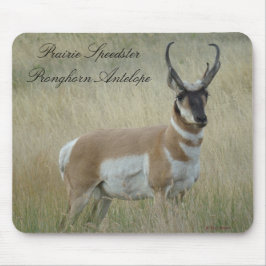 Mousepad Quantia choruda do antílope de A8 Pronghorn