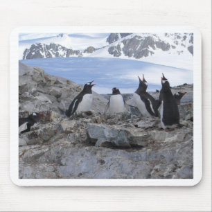 Mousepad Quarteto do barbeiro