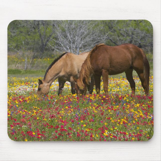 Mousepad Quarto Cavalo no campo de flores silvestres perto  (Frente)