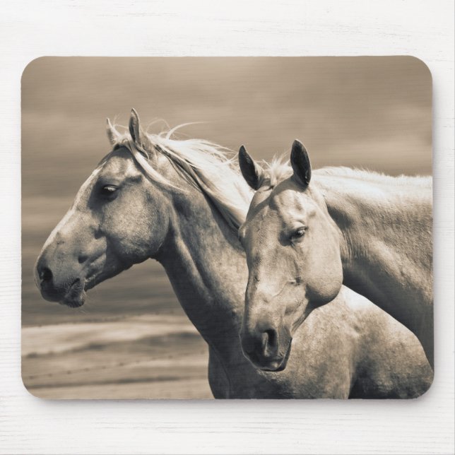 Mousepad Quartos Cavalos Na Prairie Canadense (Frente)