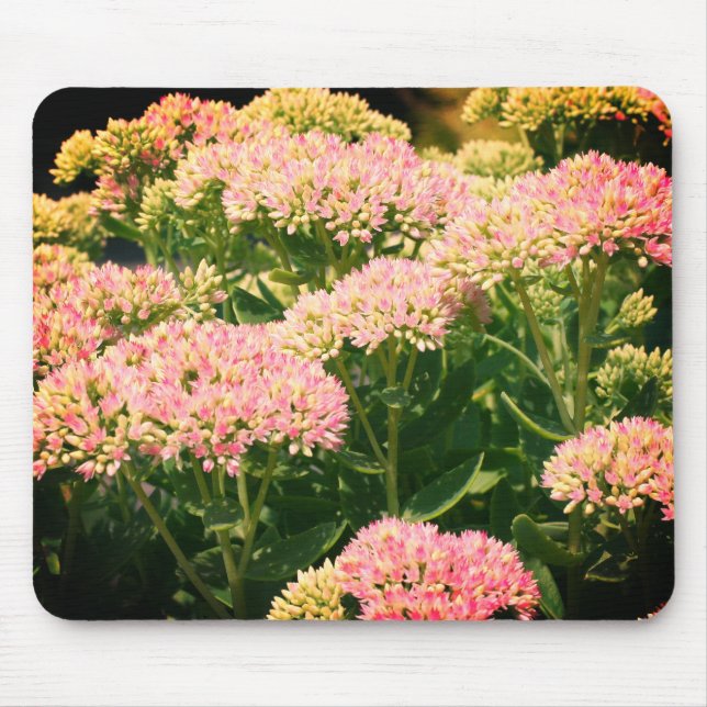 Mousepad Quase Flor Sedum (Frente)