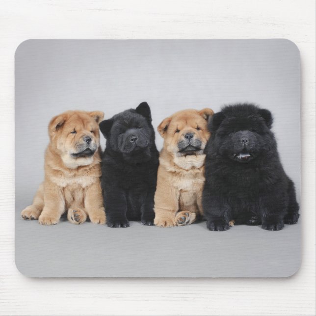Mousepad Quatro filhotes de chow (Frente)