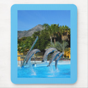 Mousepad Quatro golfinhos do pulo