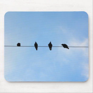 Mousepad Quatro Pássaros em um Fio