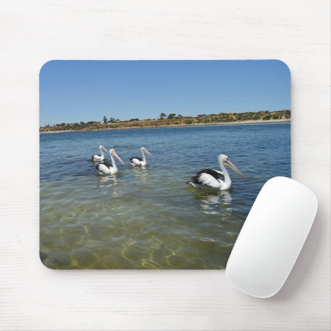 Mousepad Quatro Pelicanos Nadando No Mar, Pad Do Mouse (Com mouse)