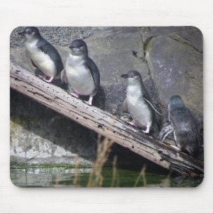 Mousepad Quatro pinguins pequenos