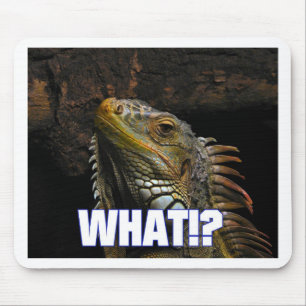 Mousepad Que!? Iguana