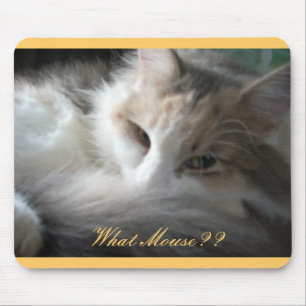 Mousepad Que Rato?