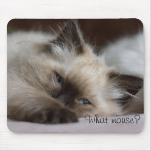 Mousepad Que rato, tapete do rato
