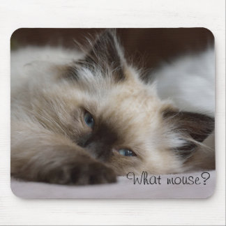 Mousepad Que rato, tapete do rato