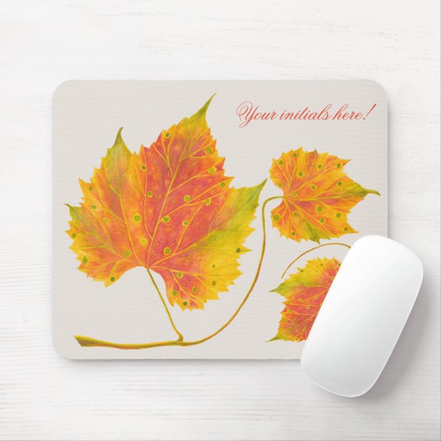 Mousepad Queda de Spotty em um Pad de Mouse (Com mouse)