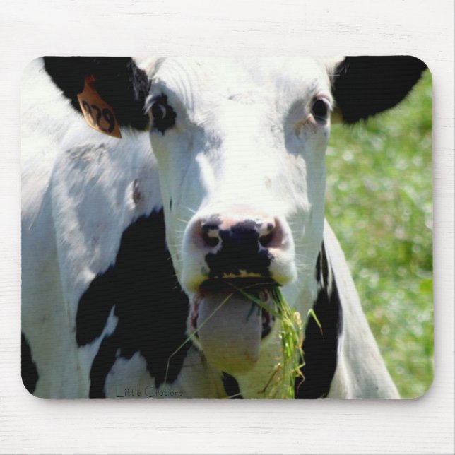 Mousepad "Quem eu " (Frente)