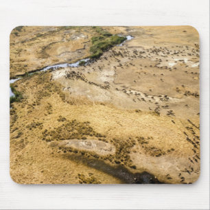 Mousepad Quênia: Reserva Nacional Masai Mara, Mara