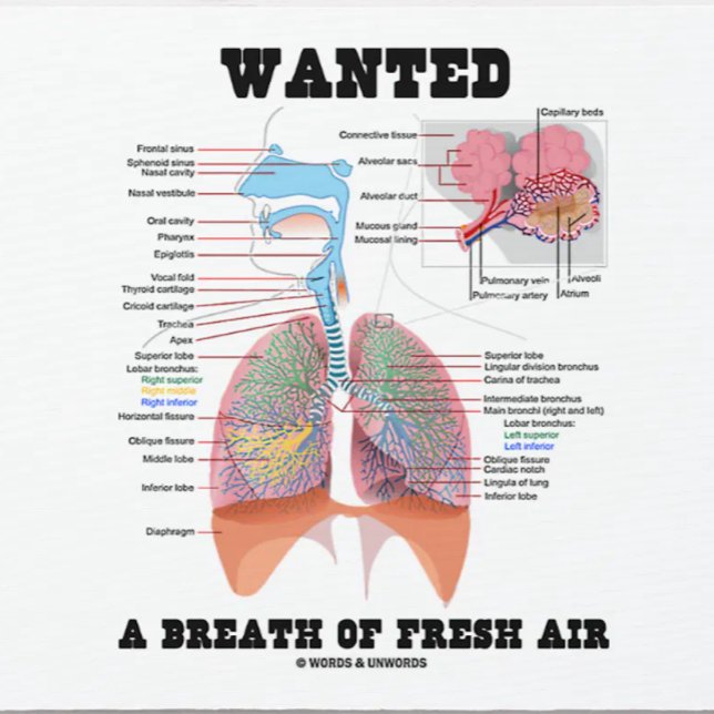 Mousepad Queria Ar Fresco (Sistema Respiratório) (Respiratory system attitude mousepad featuring the medical saying: "Wanted A Breath Of Fresh Air")