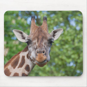 Mousepad Querido Curios Girafa