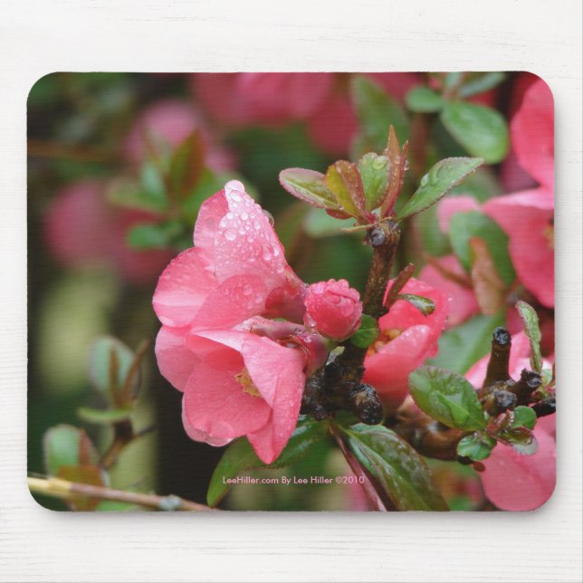 Mousepad Quince Florindo Rosa de Primavera (Frente)