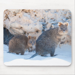 Mousepad Quokka