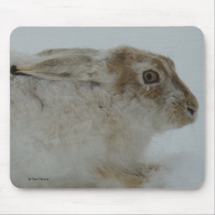 Mousepad R11 Snowshoe Hare Head Shot