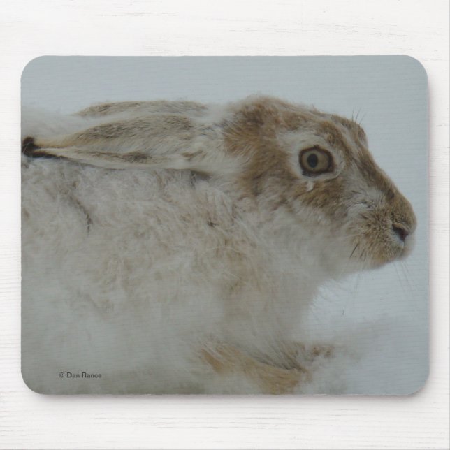 Mousepad R11 Snowshoe Hare Head Shot (Frente)