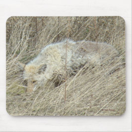 Mousepad R13 Coyote em Grama Alto