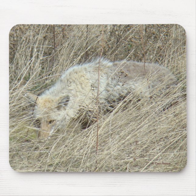 Mousepad R13 Coyote em Grama Alto (Frente)