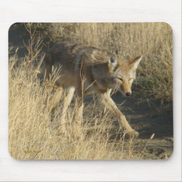 Mousepad R14 Coyote Caminhando