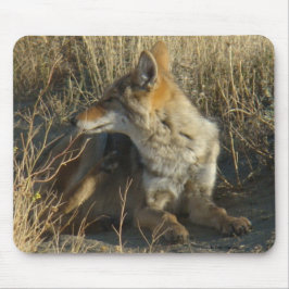 Mousepad R16 Coyote Lay