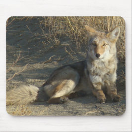 Mousepad R19 Coyote Lay