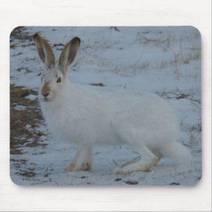 Mousepad R23 Lebre-da-neve