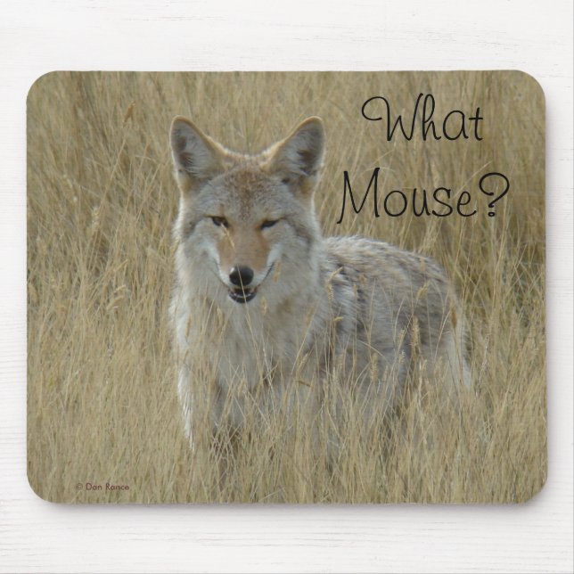 Mousepad R2 Coyote em Grama Alta (Frente)