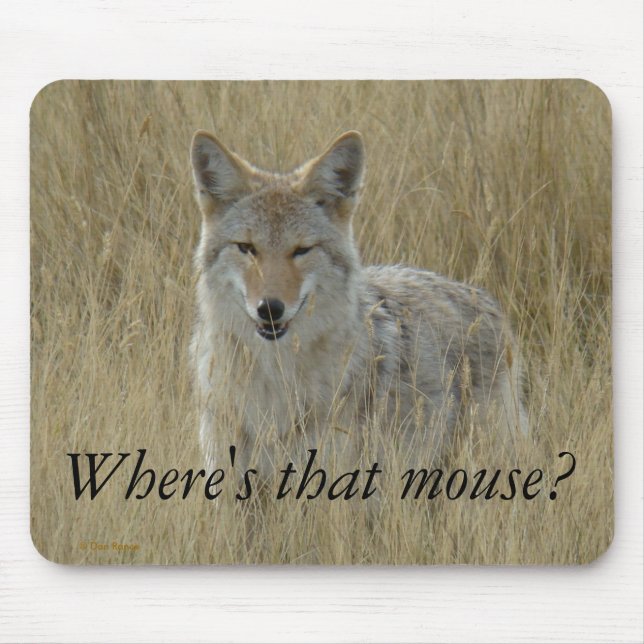 Mousepad R2 Coyote em Grama Alta (Frente)